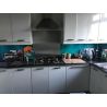 3mm Turquoise Acrylic Sheet Cut To Size